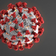 Imagen para el artículo titulado Por qué las enfermedades aumentan o disminuyen con las estaciones, y qué significa para el coronavirus
